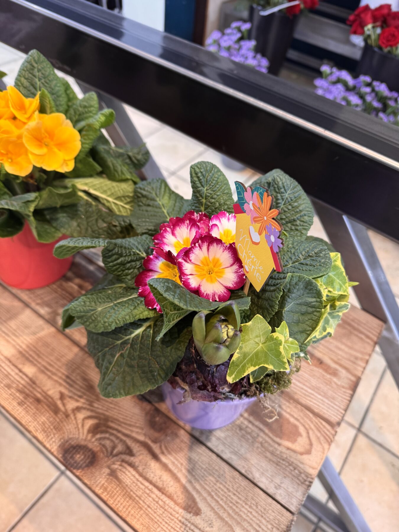 Composition de plantes Fête des Grands Mères – Image 9