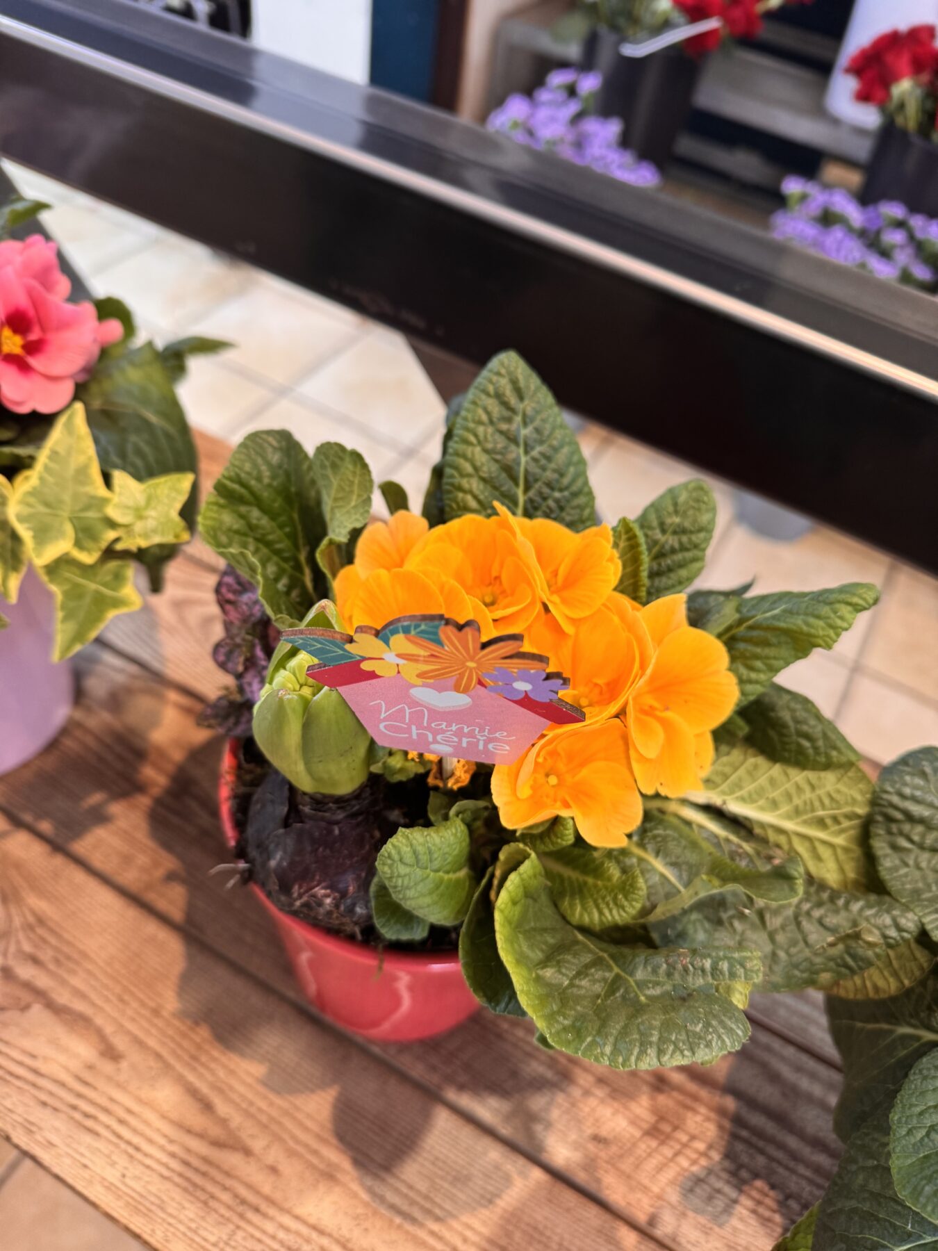 Composition de plantes Fête des Grands Mères – Image 8