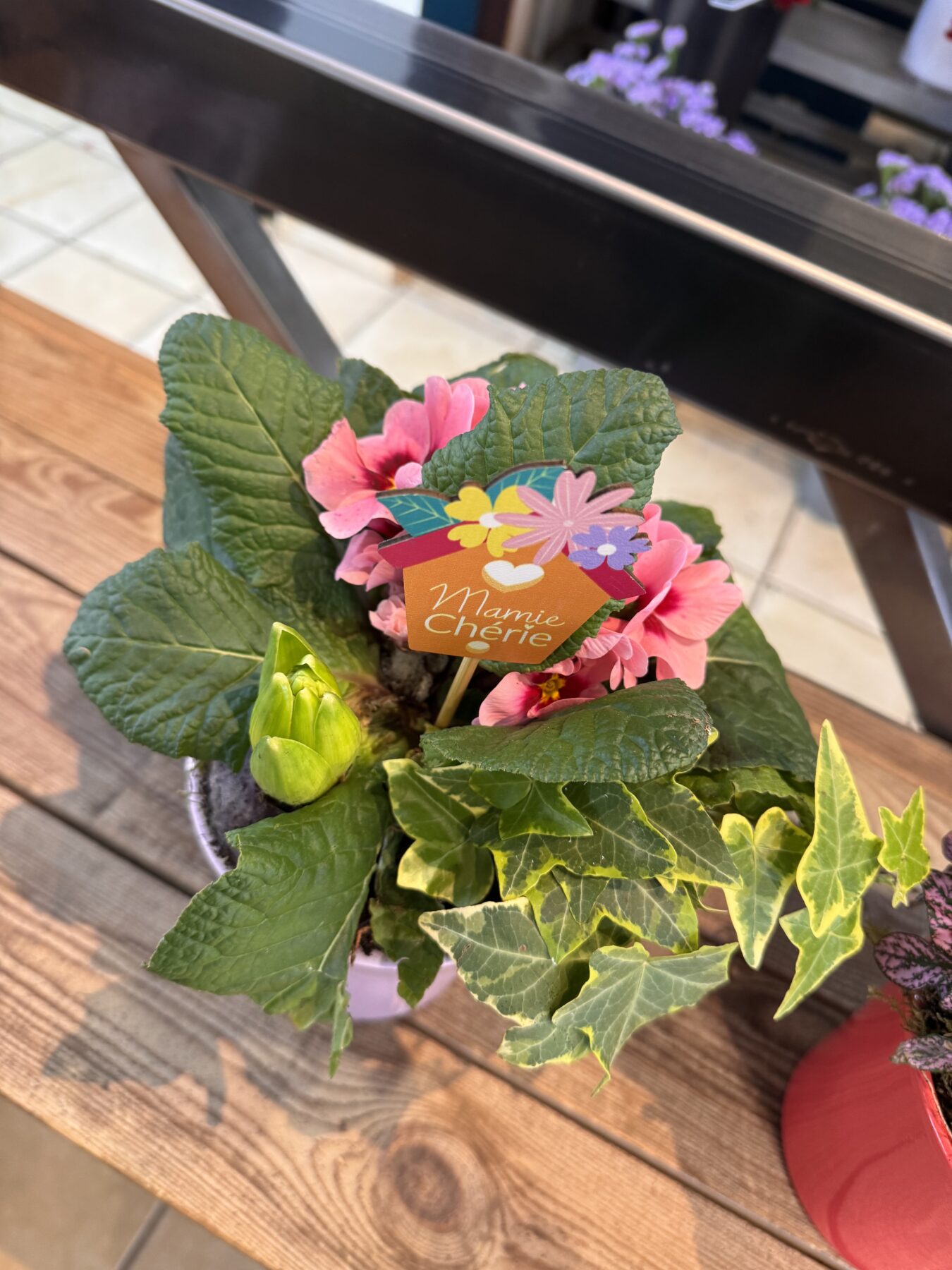 Composition de plantes Fête des Grands Mères – Image 10