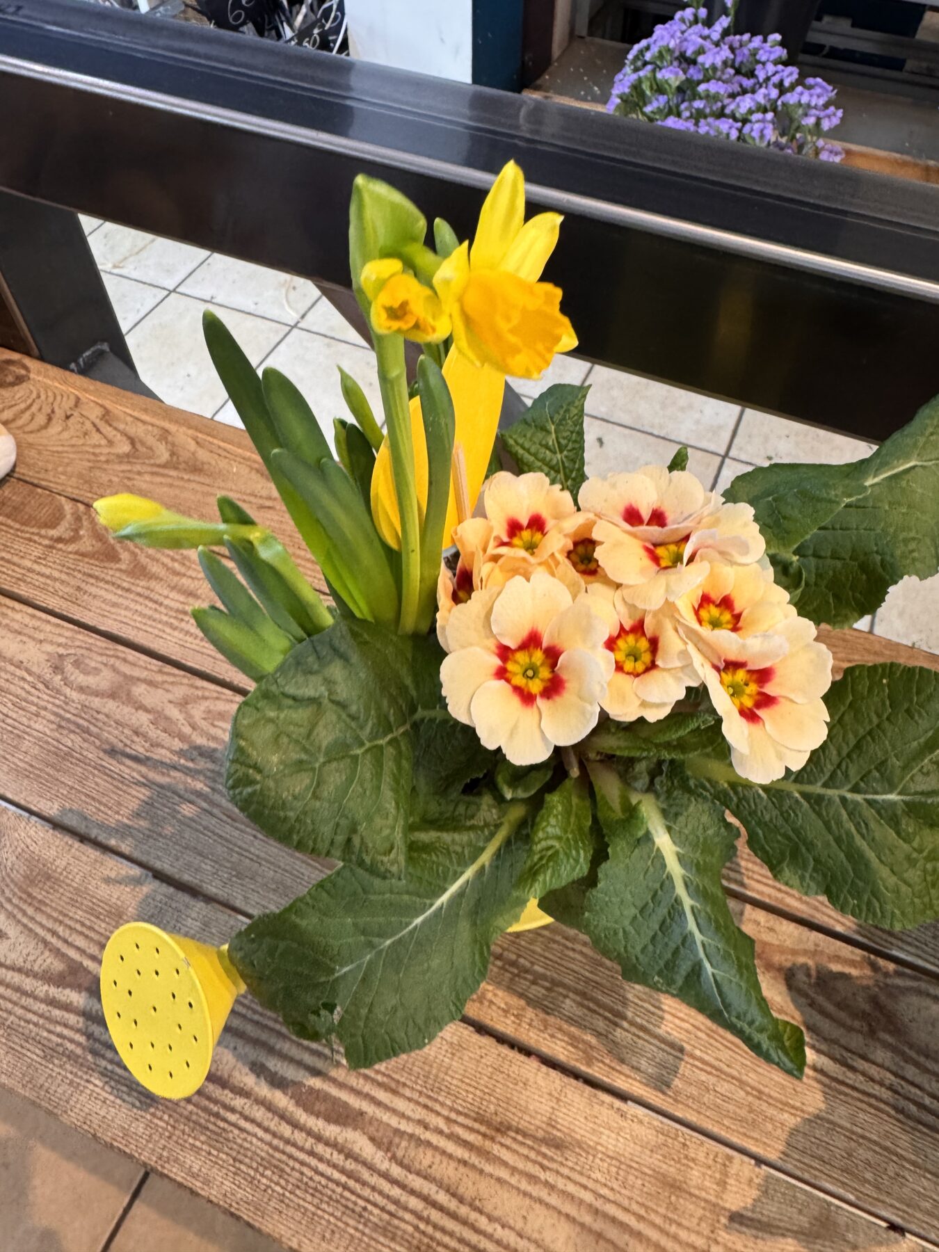 Composition de plantes Fête des Grands Mères – Image 7