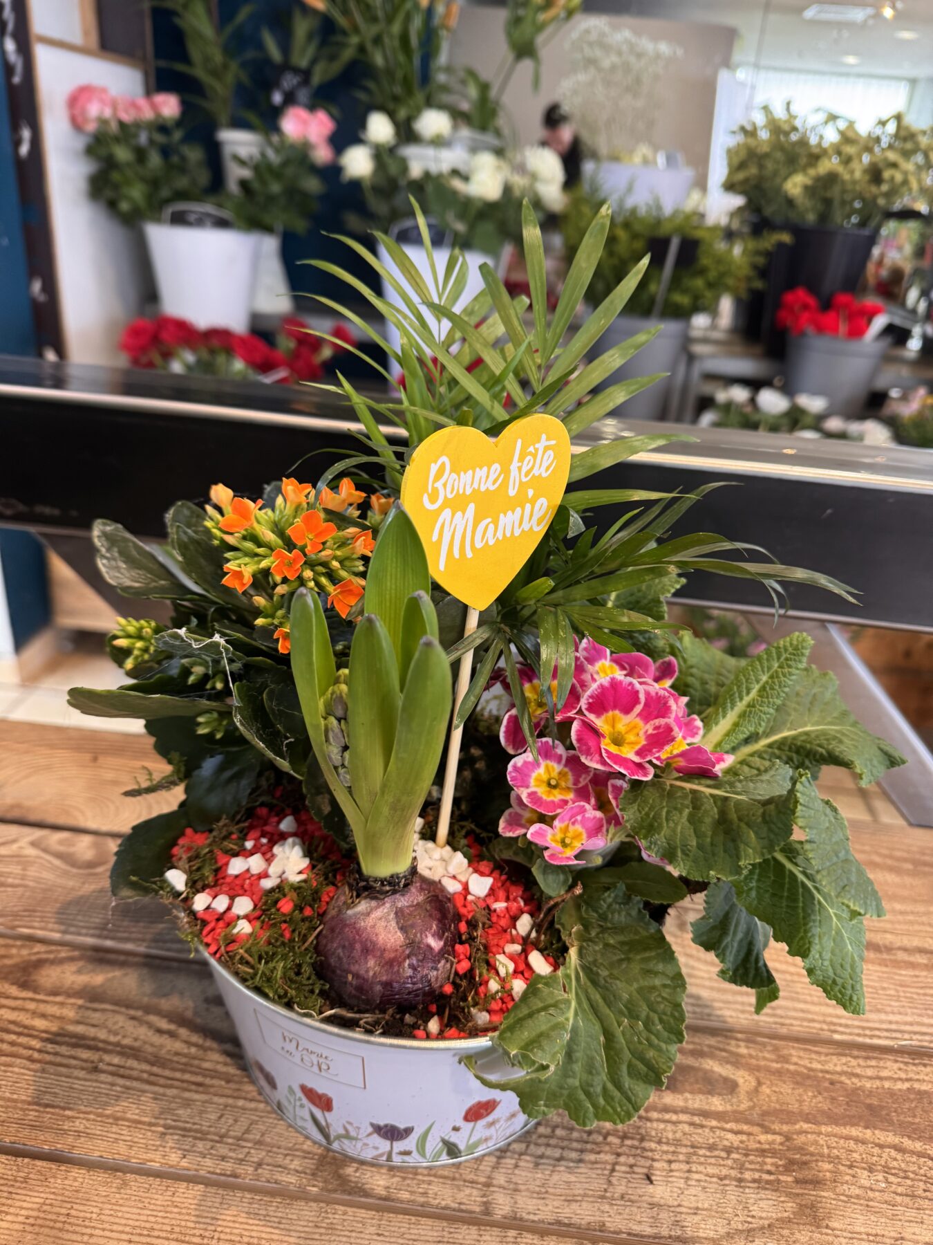 Composition de plantes Fête des Grands Mères – Image 5