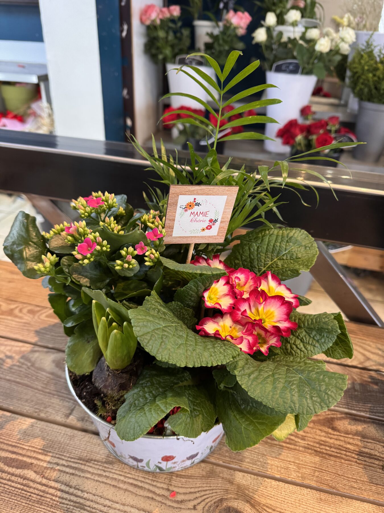 Composition de plantes Fête des Grands Mères – Image 4